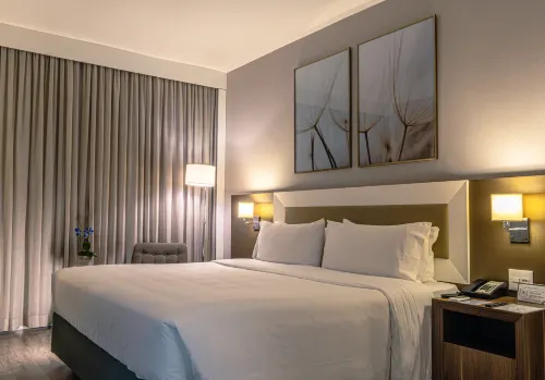 Holiday Inn BELO HORIZONTE SAVASSI by IHG - spa