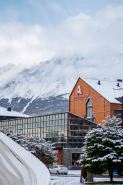 Hotel Albatros