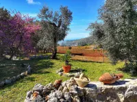 Villa Cycas Relaxation in Nature - 3 stelle