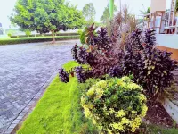 雷納喬埃濟蘇-庫貝塞客房 - 健身房