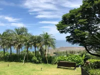 The Little Garden - Ocean View