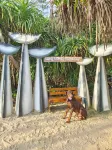 Sandy Shores Beachstay - Homestays