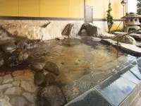 Kaminomiya Onsen Kawaratei - Varme kilder
