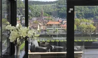 House of Hütter - Heidelberg Suites & Spa - Scenic