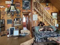 Black Bear Cozy Chalet, Lakeview, kayaks available for use - Alppimaja