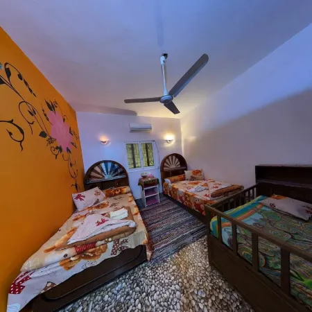 Nubian Kindom Aragheed House