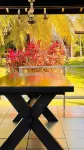 Ibiza Boutique Hotel Cumbuco - Wifi