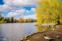 Cozy 2-Bed, 1-Bath with Free Parking, Close to Roath Park - 4-Star