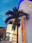 Hotel Blue Star Cancun - บริการรถรับส่ง