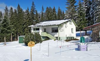 a house is nestled in a snowy landscape with trees and a yellow sign in the foreground at Paula