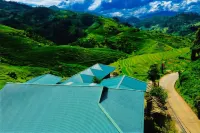 Do Gu Homestay