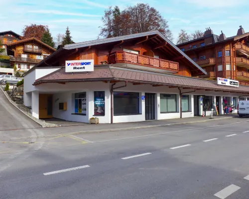 Les Savolaires 4 Hotels in Gryon