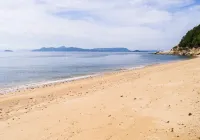Irou