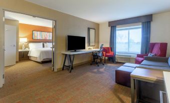 Hilton Garden Inn Chicago/Tinley Park