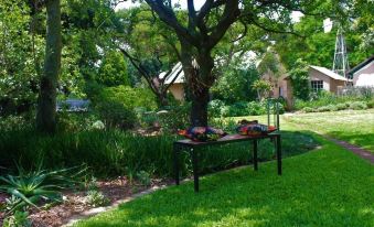 Bushwillow Spacious Cottage for 2 People with Private Garden Access!