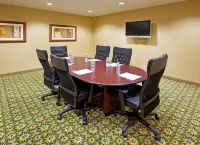 Holiday Inn Express & Suites Auburn Hills