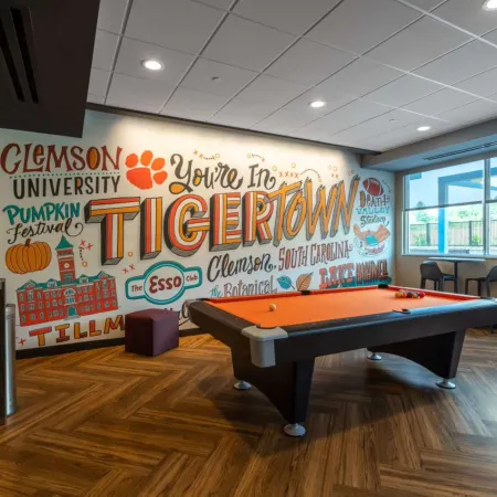 Tru by Hilton Seneca Clemson