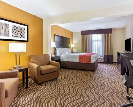 Comfort Inn & Suites Tampa North I-75 โรงแรมในแทมปา