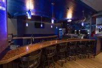 Hotel du Fjord - bar