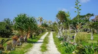 Denpaku Umigame Beach No Yado <Tokunoshima> Hotels in Oshima District