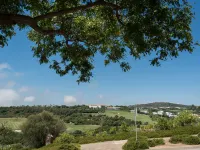 Cortesin