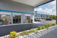 كواليتي إن كينجستون سبرينجز