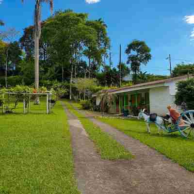 Room in Lodge - Tree House Finca la Floresta Verde Hotel Exterior