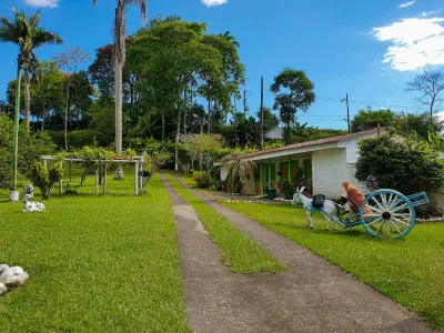 Room in Lodge - Tree House Finca la Floresta Verde