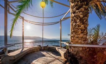 Daria - Authentic Israeli Experience