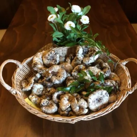 Agriturismo Fasano Отели в г. Borgo Incoronata - Lagogemolo