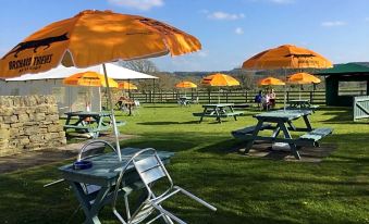 a grassy field with several orange umbrellas and picnic tables , providing shade for the patrons at Rose & Crown