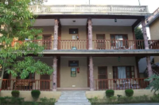 Jungle Safari Lodge- Serenity in the Wild