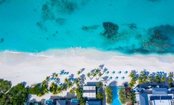 aerial view of a beautiful white sand beach with blue water , surrounded by palm trees and a few buildings at Zemi Beach House, LXR Hotels & Resorts