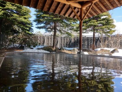 スパ・大浴場 八幡平ライジングサンホテルの写真