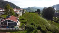 Tiger Hill Homestay