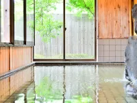 Alpine Route Hotel - avec sources thermales