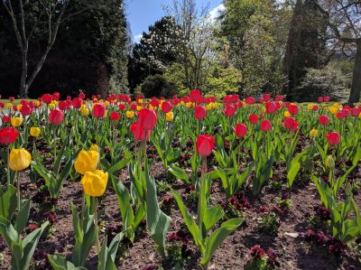 ホテル周辺 ザ コーナー ホテル フランクフルトの写真