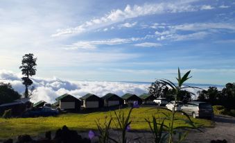 Aimun Tent Phu Thap Buek