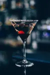 卡託維茨拉迪遜麗柏酒店 - 酒吧