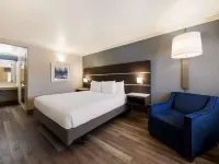 Best Western Inn Suites Lemoore Hotels in Lemoore