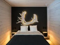 Villa Gaissa Hotels in Fell Lapland