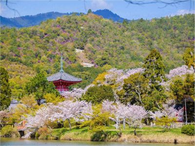 ホテル周辺 サンメンバーズ京都嵯峨の写真