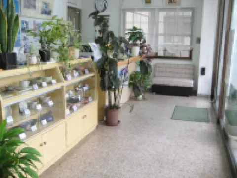 白良浜沙灘酒店