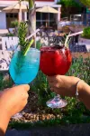 Foz Plaza Hotel - Bares