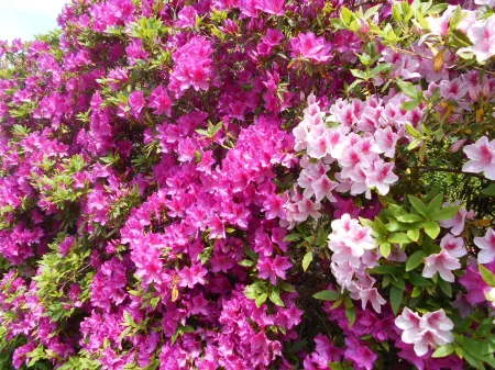 Hana No Yado Yoshida Отели рядом с достопримечательностью «Nojimasaki Lighthouse»