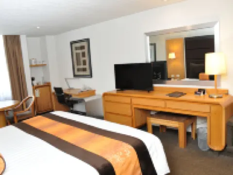 Royal Pedregal Hotels near Museum of El Carmen