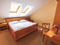 ペンション ブジェジナ プラハ プラハのホテル