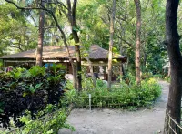 Dancing Dugong Hotels near Shaheed Dweep