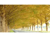 Wasuki Base Biwako Guest House