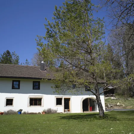 Appartements - N°5 et N°5B